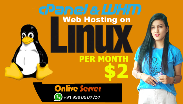 Cost-Effective Cheap Linux VPS Hosting Server for Your Website