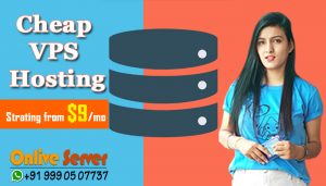 Reliable and Powerful Cheap VPS Server Hosting by Onlive Server