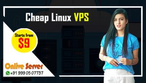 Here Comes the Cheapest Linux VPS Server Hosting for The Tech Nerds