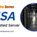 Business Just Make Easier With USA Dedicated Server Hosting