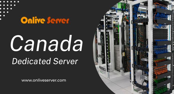 Canada Dedicated Server is perfect solution for a business website.